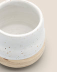 Mira Cup